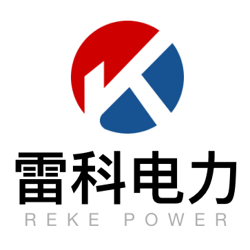 武漢雷科電力有限公司