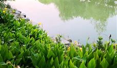 �й�ú̿�ӹ�����Э�������׼��������̿��ˮ���������淶�������׼�Ĺ���