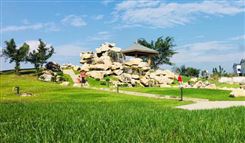 2025年度国家绿色算力设施名单公布