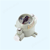 SW-10 系列防爆照明开关/粉尘防爆照明开关(ⅡB、ⅡC、DIP)