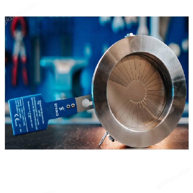 德國striko爆破片