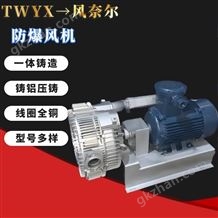 石油氣體分離防爆拖泵