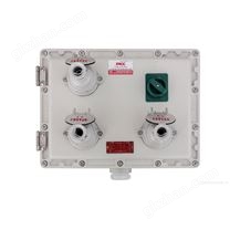 二工防爆配電箱帶插銷