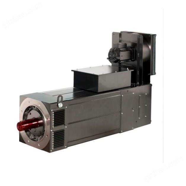Oemer QL100S AC three-phase asynchronous motor