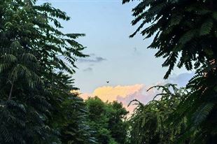 浙江省首家水泥企业完成超低排放改造和评估监测公示