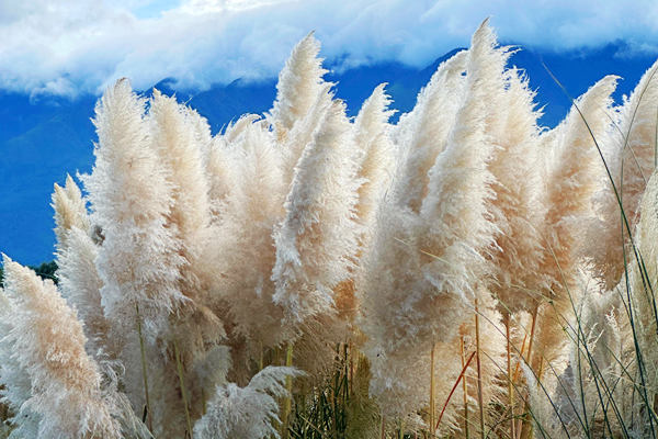 “十四五”大氣污染治理堅持精準治污、體系應對