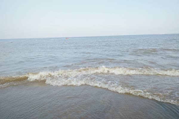 國(guó)家生態(tài)環(huán)境標(biāo)準(zhǔn)《海水浴場(chǎng)赤潮監(jiān)測(cè)技術(shù)規(guī)范（征求意見(jiàn)稿）》公開(kāi)征求意見(jiàn)