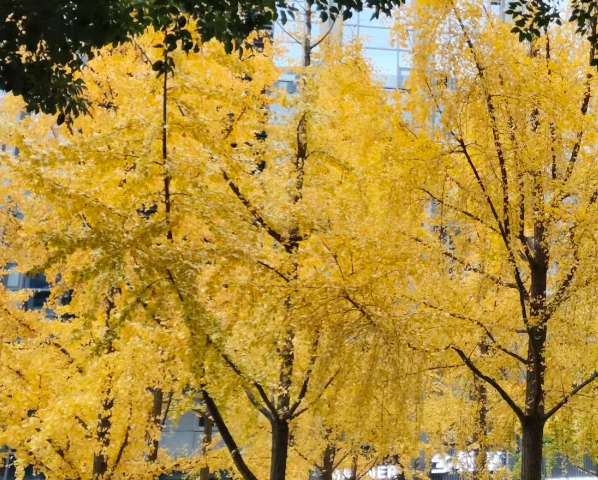 促進人工智能與農業發展相結合 構建新格局