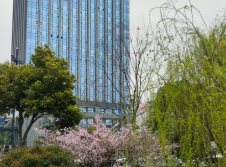 68家上榜！第七批產業技術基礎公共服務平臺名單公布